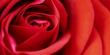 Valentin nap előtt többet költenek az interneten is egy elemzés szerint