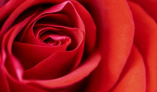 Valentin nap előtt többet költenek az interneten is egy elemzés szerint