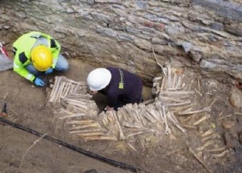 Emberi csontokból készült falakra bukkantak a genti székesegyház alatt