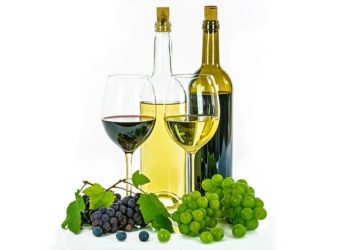 Borjour Magnum nagykóstoló – Középpontban a cabernet franc