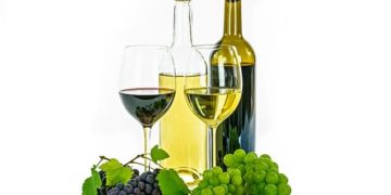 Borjour Magnum nagykóstoló – Középpontban a cabernet franc