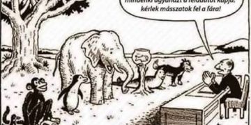 Jobbik: Nat helyett oktatásmodernizációra van szükség