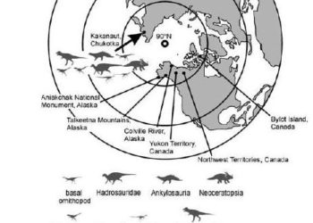Mamutok gyomortartalma „mesél” a jégkorszakbeli Szibériáról