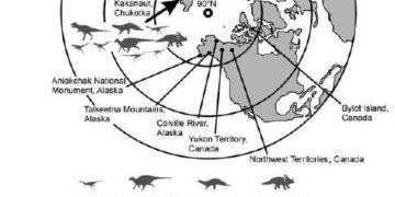Mamutok gyomortartalma „mesél” a jégkorszakbeli Szibériáról