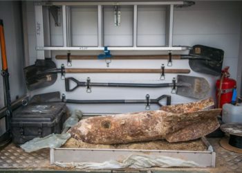 Befejezték a bomba hatástalanítását a tűzszerészek a Tabánnál