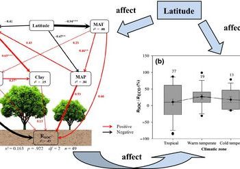 A zöldenergia-projektek növekvő veszélyt jelentenek a természetvédelmi területekre egy új kutatás szerint