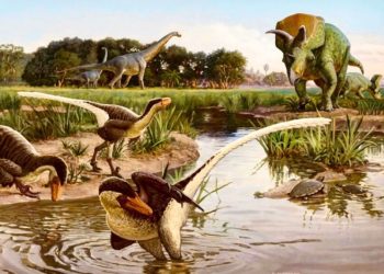 Kis termete ellenére félelmetes ragadozó volt egy 67 millió éve élt tollas dinoszaurusz