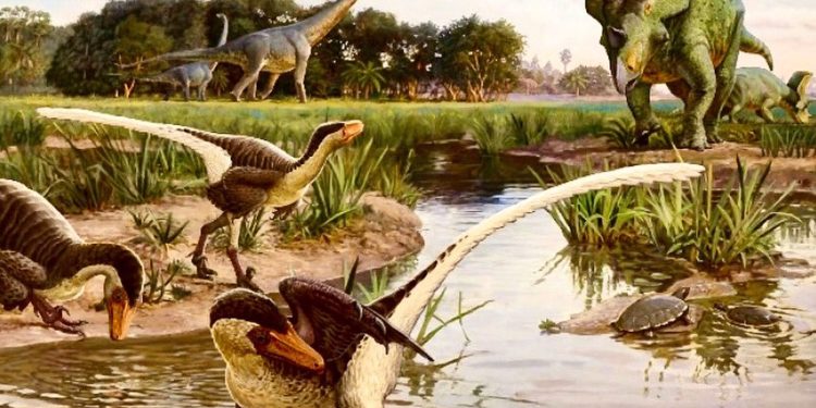 Kis termete ellenére félelmetes ragadozó volt egy 67 millió éve élt tollas dinoszaurusz