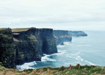 Az óceánok melegedésével a tengeri állatok a sarkvidékek felé vonulnak