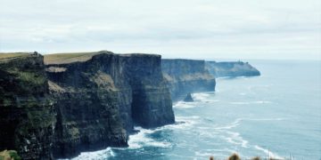 Az óceánok melegedésével a tengeri állatok a sarkvidékek felé vonulnak