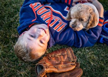 A kutyáknál is kialakulhat halláskárosodás