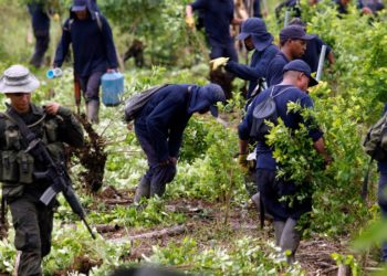 Az amerikai elnök támogatásáról biztosította a kolumbiai kokaültetvények glifozátos permetezését