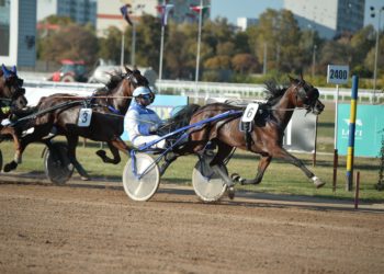 Az ügetői merénylet túlélője szerint az elkövető már több éve Portikot nevezte meg felbujtóként