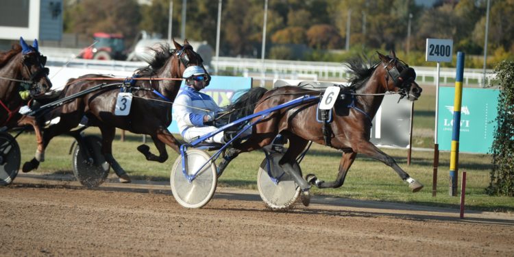 Az ügetői merénylet túlélője szerint az elkövető már több éve Portikot nevezte meg felbujtóként