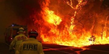 Harminc százalékkal növelte a szélsőséges bozóttűzszezon kockázatát Ausztráliában a klímaváltozás