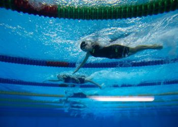 Öt helyszínen kezdi újra a munkát a magyar úszóválogatott