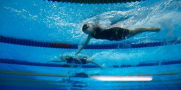 Öt helyszínen kezdi újra a munkát a magyar úszóválogatott