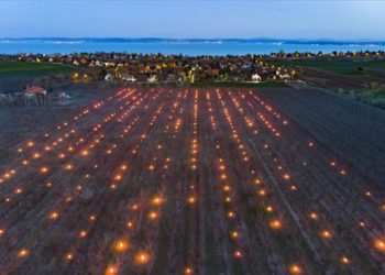 Fagy elleni védekezés egy balatonvilágosi gyümölcsösben