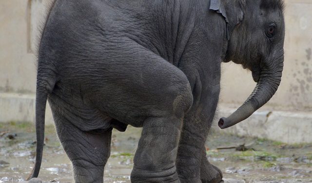 forrás: pixabay.com