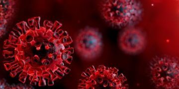 Pécsi Tudományegyetem: sikerült meghatározni a vírus teljes genetikai kódját