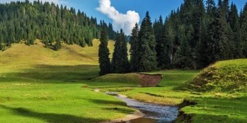 Romániában országos erdősítési kampány kezdődött