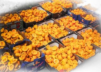 Az élelmiszerek tudatos felhasználására hívja fel a figyelmet a Bay Zoltán Kutatóintézet (videó)