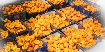 Az élelmiszerek tudatos felhasználására hívja fel a figyelmet a Bay Zoltán Kutatóintézet (videó)