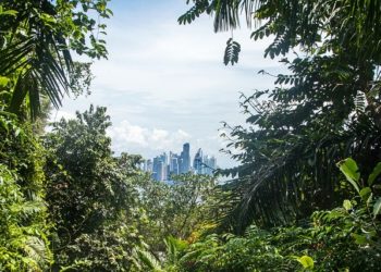 Mintegy 2,4 millió hektárnyi esőerdő kiirtásával járnának az Amazonas-medence térségébe tervezett útépítések