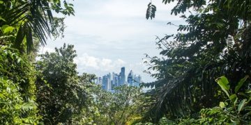 Mintegy 2,4 millió hektárnyi esőerdő kiirtásával járnának az Amazonas-medence térségébe tervezett útépítések