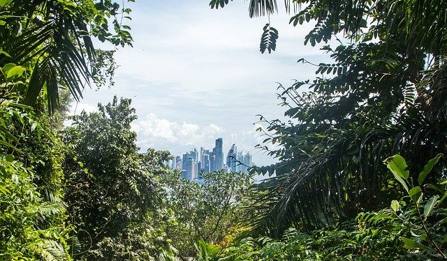 Mintegy 2,4 millió hektárnyi esőerdő kiirtásával járnának az Amazonas-medence térségébe tervezett útépítések