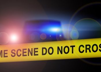 Putyin: minden második bűncselekmény felderítetlen Oroszországban