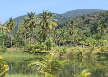 Nem pusztult el több erdő tavaly az Amazonas térségében a tűz miatt, mint átlagosan az elmúlt 17 évben