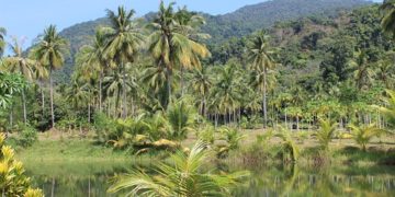 Nem pusztult el több erdő tavaly az Amazonas térségében a tűz miatt, mint átlagosan az elmúlt 17 évben
