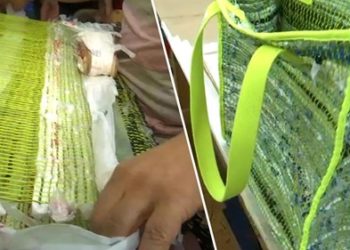 New Yorkban betiltották az egyszerhasználatos műanyag zacskókat