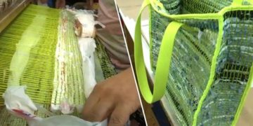 New Yorkban betiltották az egyszerhasználatos műanyag zacskókat