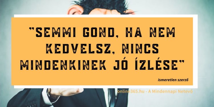 Mindennapi Netevő