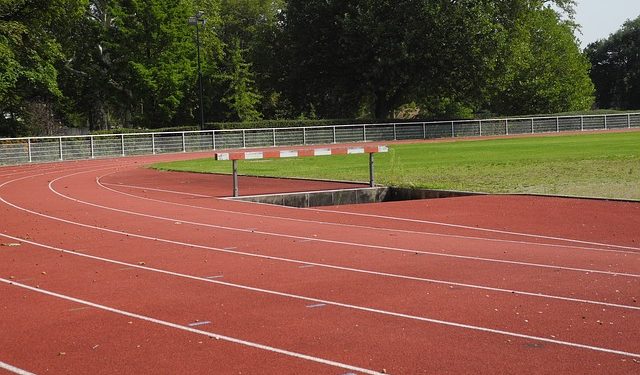 Ilyen volt a tavalyi futóévem -2-