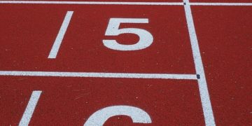 Terv a lelke mindennek