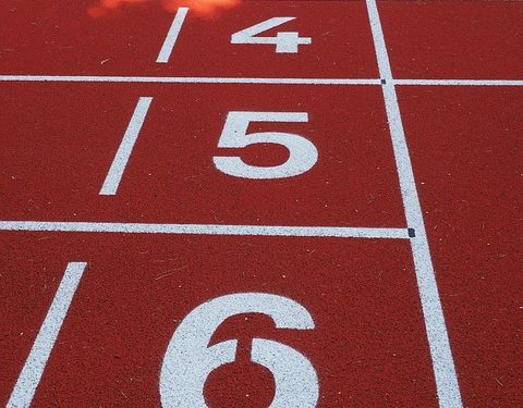 Terv a lelke mindennek