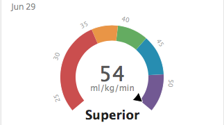 Minden, amit VO2max-ról tudni érdemes -1-