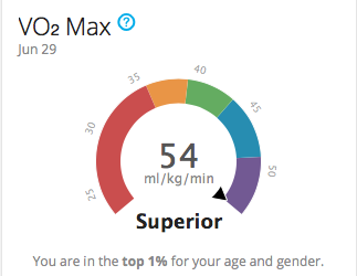 Minden, amit VO2max-ról tudni érdemes -1-