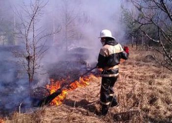 A csernobili tiltott zónában  a megengedett sugárzás 16-szorosát  is mérték a mostani erdőtűz alatt (videó)