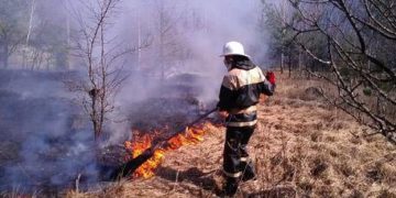 A csernobili tiltott zónában  a megengedett sugárzás 16-szorosát  is mérték a mostani erdőtűz alatt (videó)