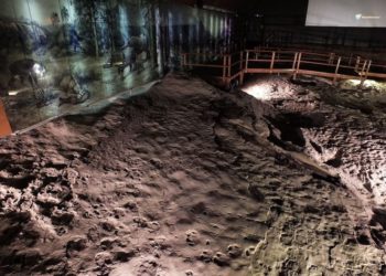 Meghosszabbították az ipolytarnóci ősmaradvány-lelőhely Európa Diplomáját