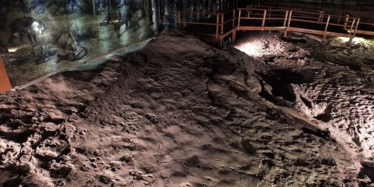 Meghosszabbították az ipolytarnóci ősmaradvány-lelőhely Európa Diplomáját