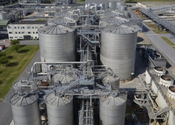 A tequila alapanyagából készítenének bioüzemanyagot ausztrál kutatók