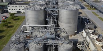 A tequila alapanyagából készítenének bioüzemanyagot ausztrál kutatók