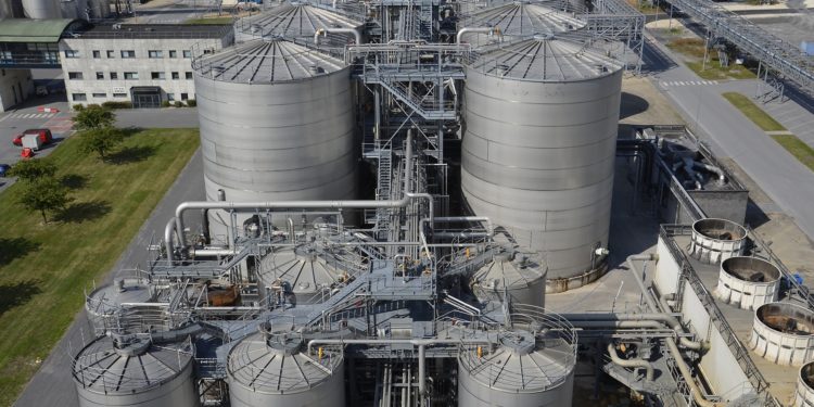 A tequila alapanyagából készítenének bioüzemanyagot ausztrál kutatók