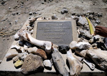 Emberelődök három faja is élt egy időben egymás mellett