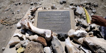 Emberelődök három faja is élt egy időben egymás mellett